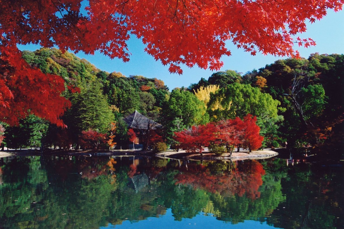 🏯 백수 아미타당(시라미즈 아미타도) 이미지 2